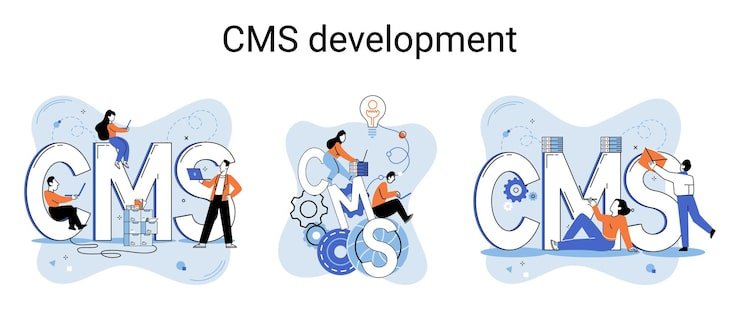 CMS WEB DEVELOPMENT
